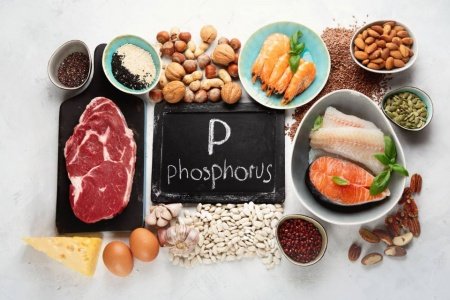 Владимир Лосев рассказал о продуктах питания с высоким содержанием фосфора